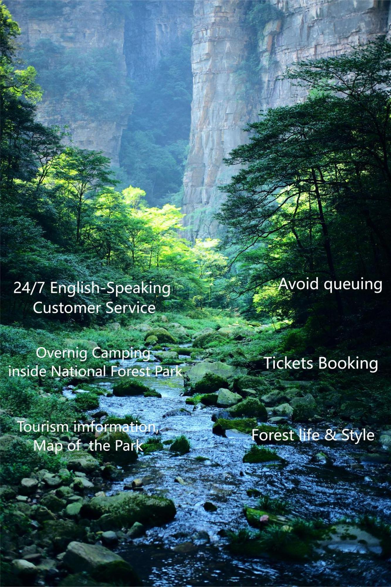 Zhangjiajie National Forest Park Camping Esterno foto
