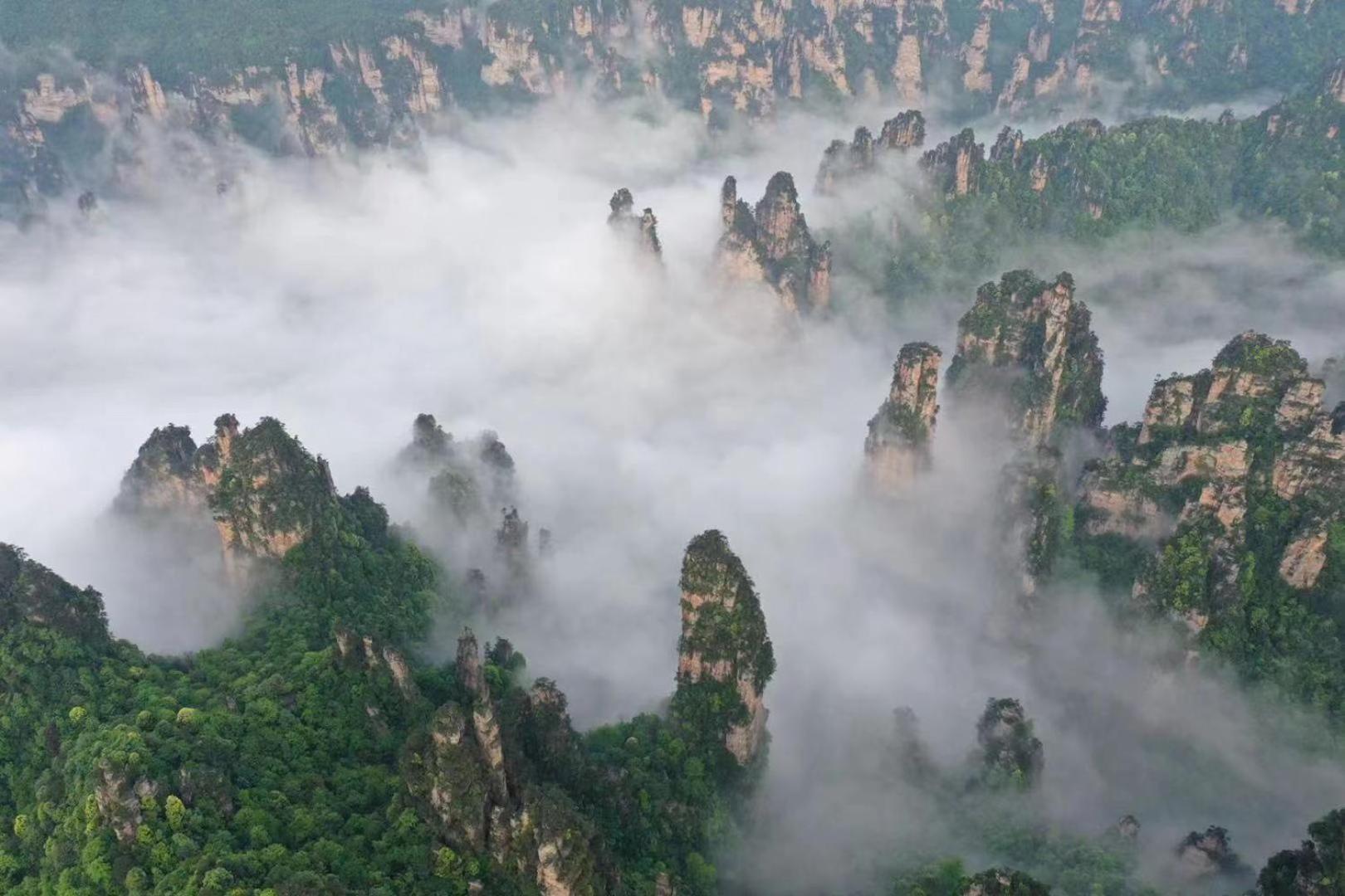 Zhangjiajie National Forest Park Camping Esterno foto